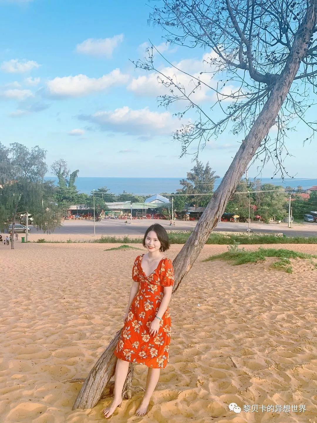 贝壳高颜值包包,贝壳包包推荐小众高级感