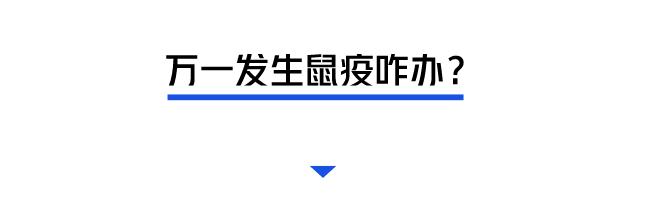 深圳罗湖灭鼠,除虫灭鼠深圳