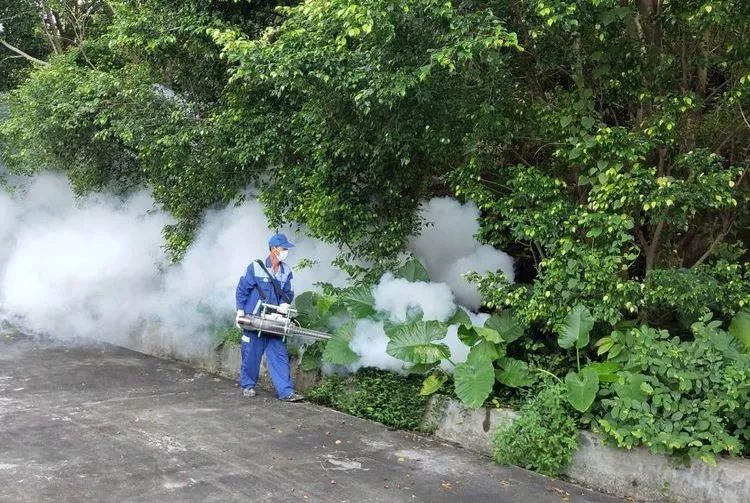 深圳罗湖灭鼠,除虫灭鼠深圳