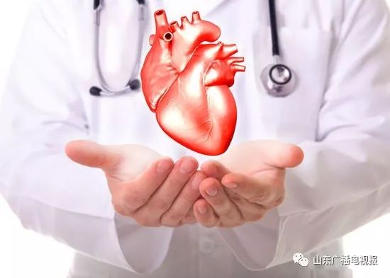 中医养生调理血汗管病,健康养生菏泽