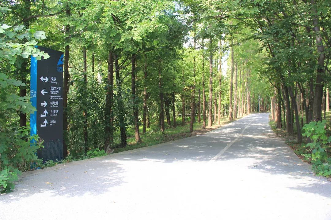 最美步道评选,黄浦最美健身步道