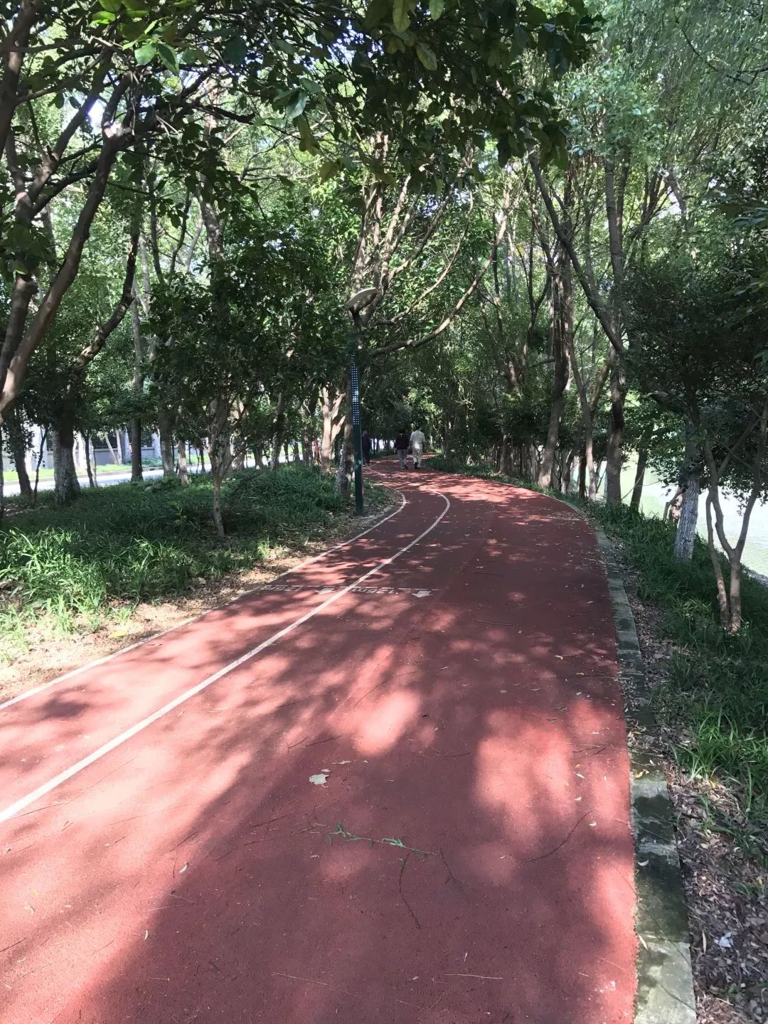 最美步道评选,黄浦最美健身步道