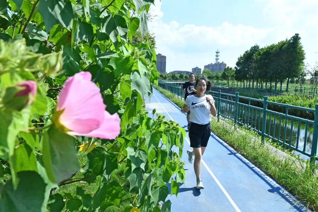 最美步道评选,黄浦最美健身步道