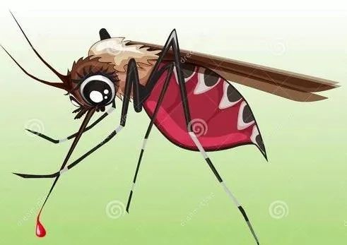 传染HIV，这个锅蚊子不背