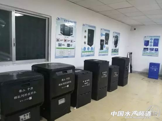 养虾的100大利润,养虾年入百万的人