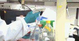 深圳市29名学生染上艾滋病,深圳已有多少人中招