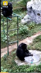 广州地陷父子2人怎么样,最新广州地陷父子被困