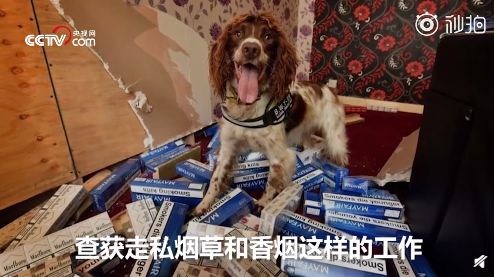 广州地陷父子2人怎么样,最新广州地陷父子被困