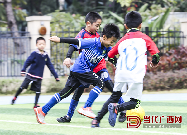 冬日绿茵场上驰骋感受运动的魅力,足球小课堂巅峰