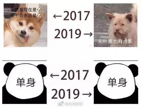 2017→2019流行语句句戳心，英文版超全整理来啦