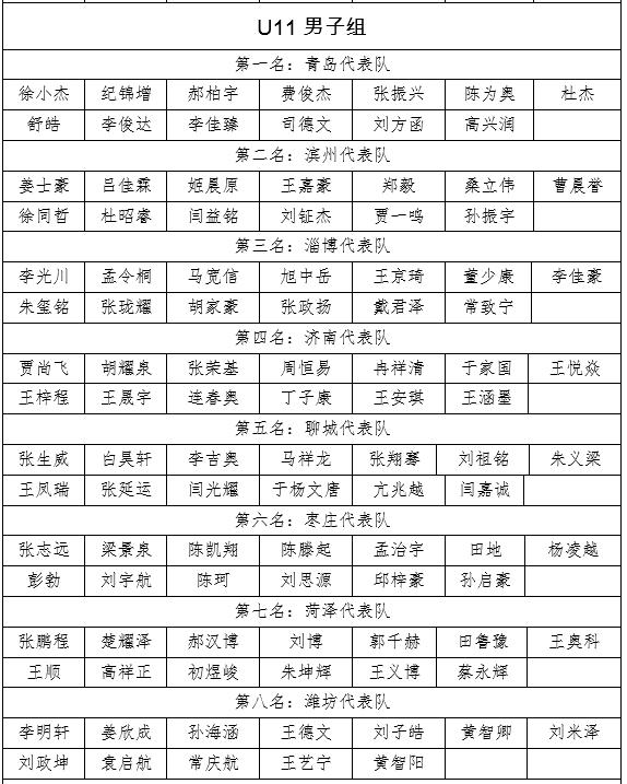 山东省青岛市校园足球联赛,山东省全国青少年足球特色学校杯