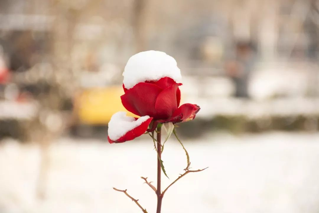 生活中不要怨天尤人,职场急功近利的人