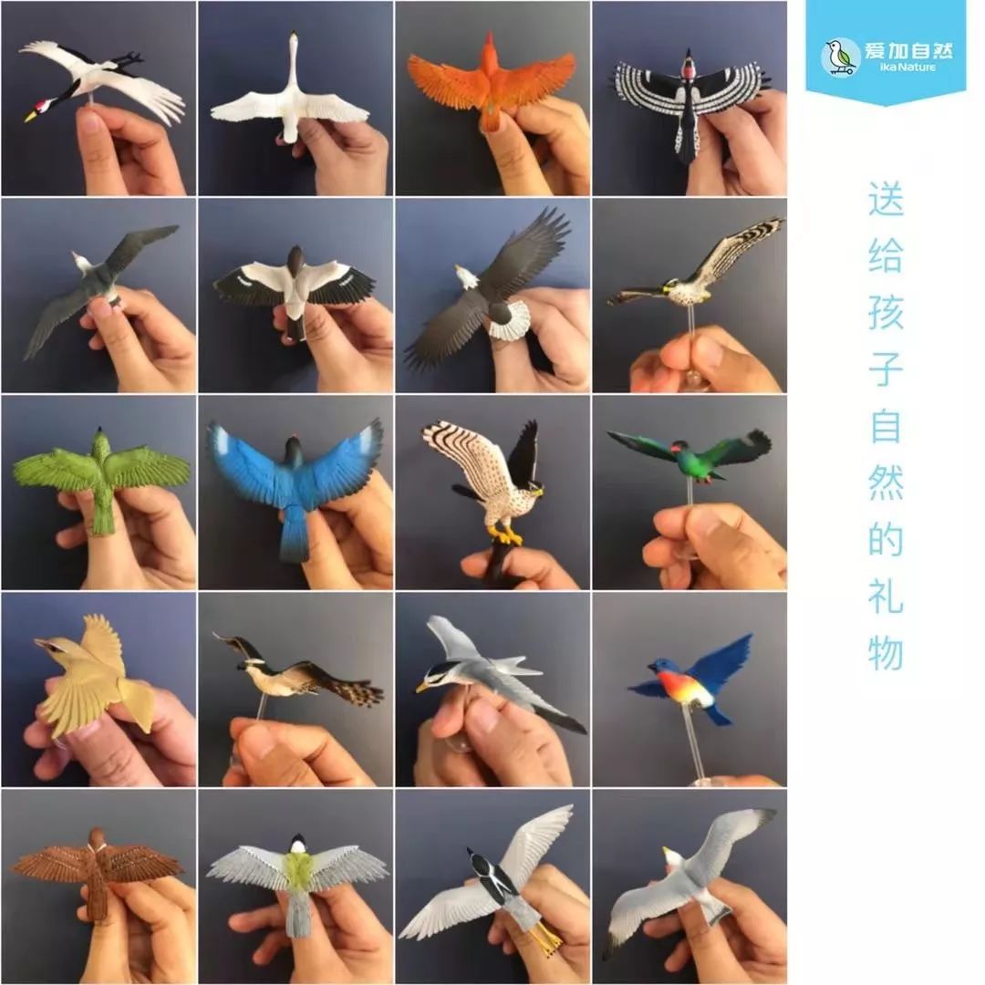 这也许是最好买的一场劲草嘉年华……