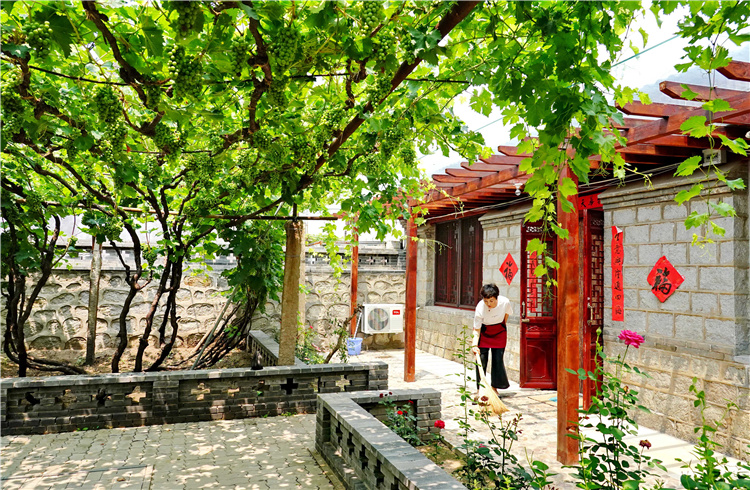 「大河之北·海洋篇④」岸线胜境