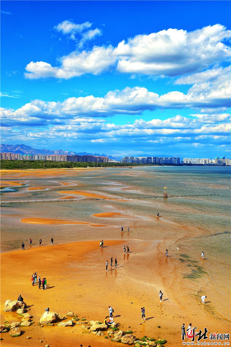 「大河之北·海洋篇④」岸线胜境