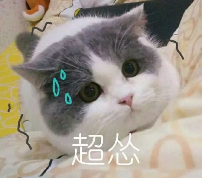 从被质疑没存在感到女团单飞，如今靠最火台剧再次爆红？
