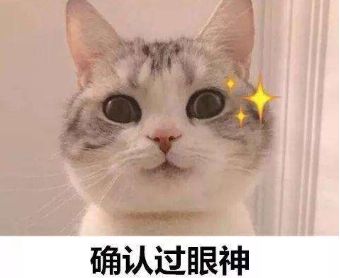 又瘦腿又拉伸还要改善腿型,瘦腿提臀的光腿神器