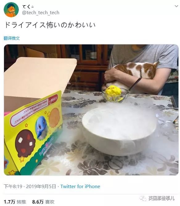 喵星人的日常图片大全,最好看的喵星人图片