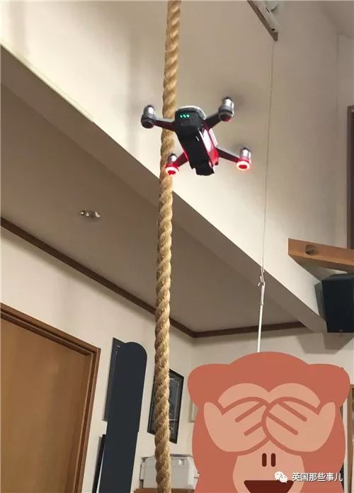 喵星人的日常图片大全,最好看的喵星人图片