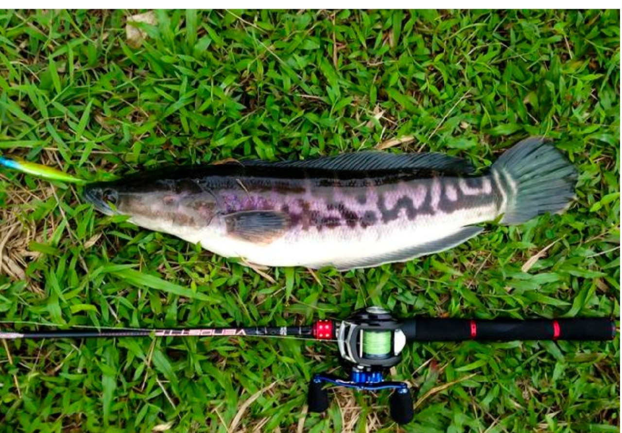 全国各地特色钓法介绍,全国各地钓鱼技巧