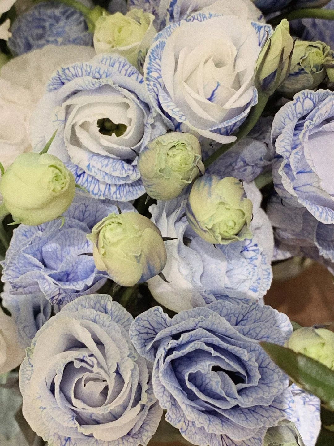 上海冬日最冷气温,上海冬日最冷温度