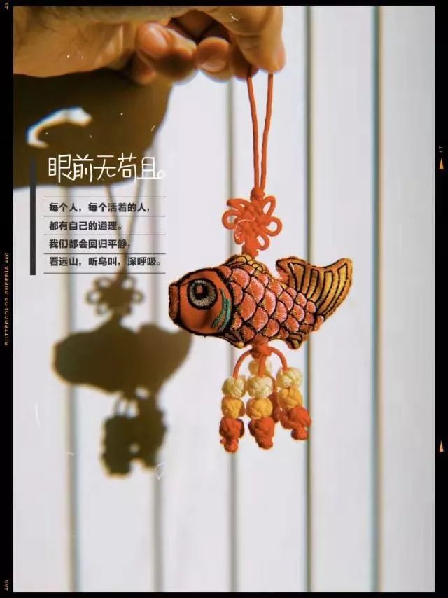 卷毛佟零基础手机摄影课百度网盘,卷毛佟手机摄影大赛作品