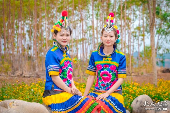 彝族漫山遍野的索玛花,索玛花盛开在高高的彝山