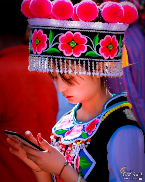 彝族漫山遍野的索玛花,索玛花盛开在高高的彝山