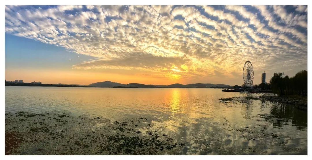 无锡有没有治颈椎病的神医,无锡中医治颈椎病