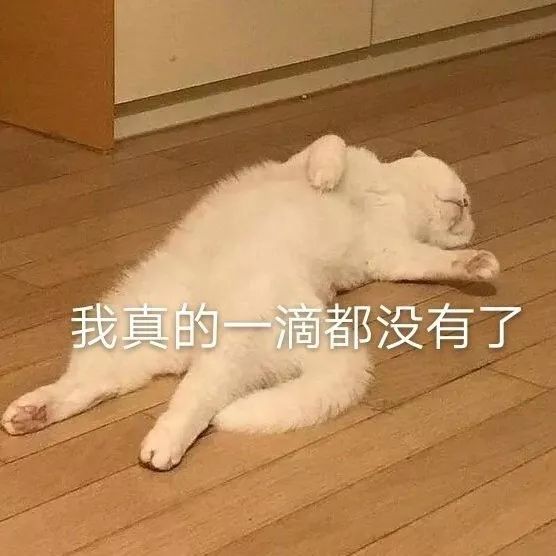 mac口红39元一支,mac口红推荐39元草莓红加金闪