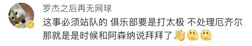 阿森纳清晨战曼城视频,阿森纳发表声明厄齐尔