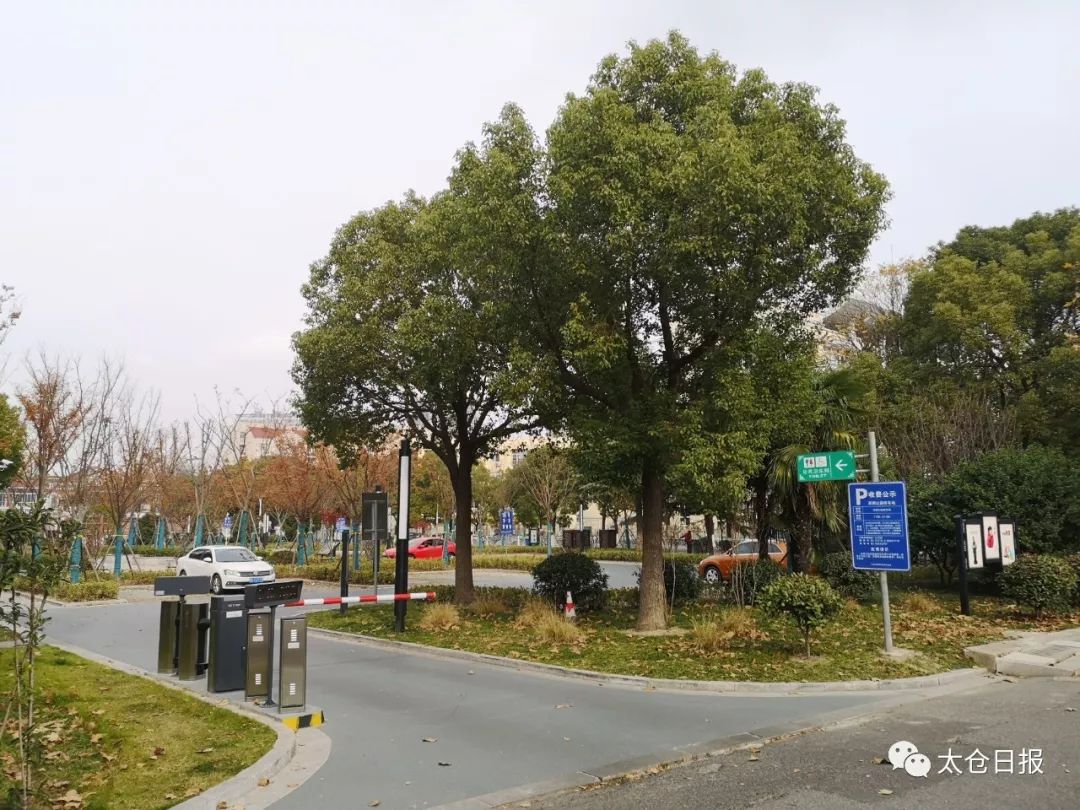 太仓路边停车位几点开始免费,太仓夜间免费停车