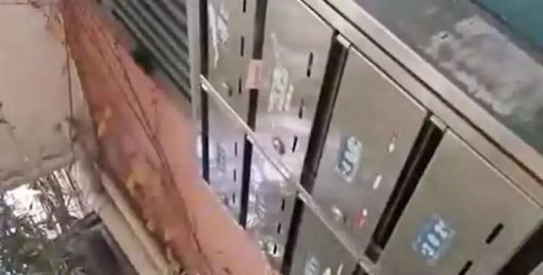 整个加工厨房全是血渍和污渍！胎盘直接烘干制成胶囊出售，隔着屏幕看吐了