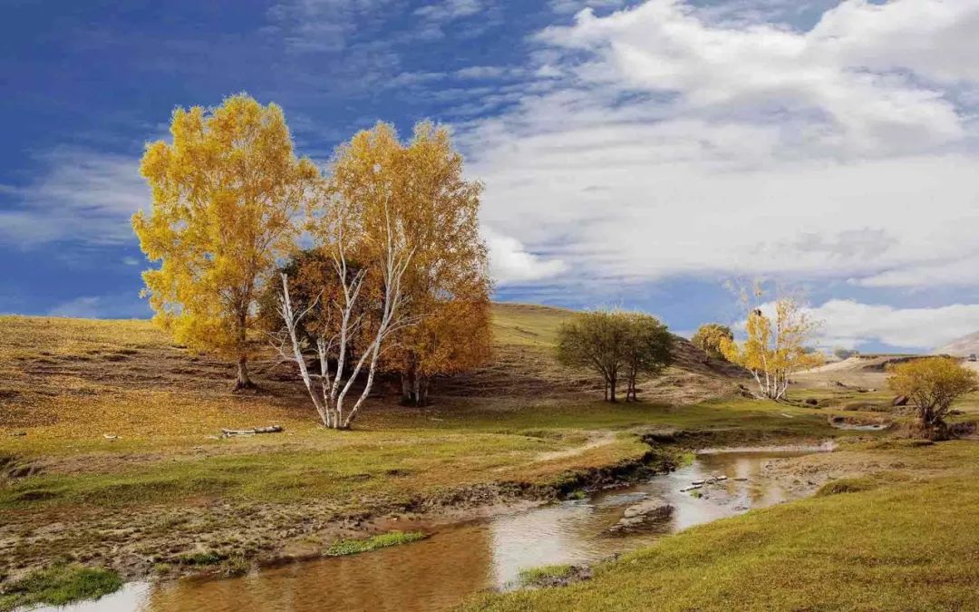 经典央视歌曲,央视经典背景音乐