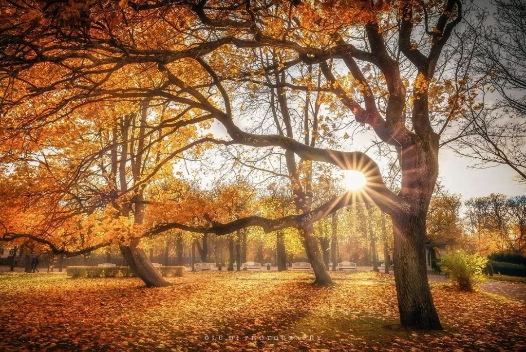 经典央视歌曲,央视经典背景音乐