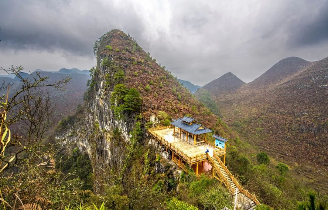 绝不坑人害人,决不坑蒙拐骗