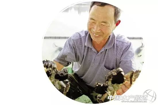 最后4.5万亩围网被拆除，太湖螃蟹集体搬了家
