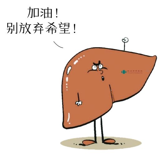 这样治疗一年，你的乙肝肝硬化逆转率可提高20%以上