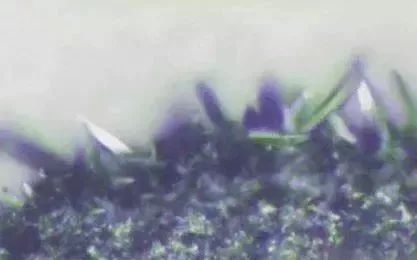 电子元器件常见失效模式,元器件失效机理排行榜