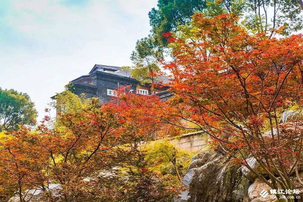 过年去镇江一日游去哪里好,镇江过年去哪儿旅游合适