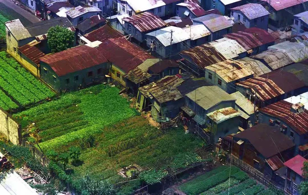 从天上看看你不曾见过的澳门,你没见过的图片