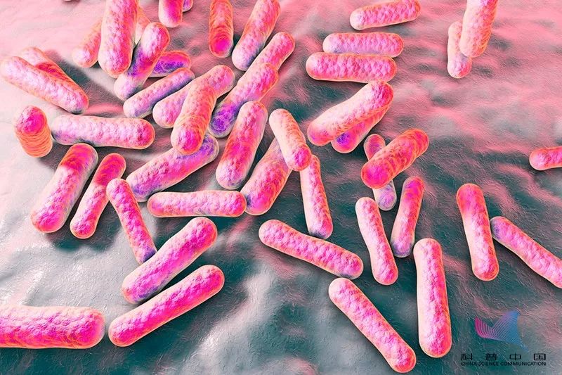 后背的疙瘩怎么去除,后背有疙瘩怎么去除