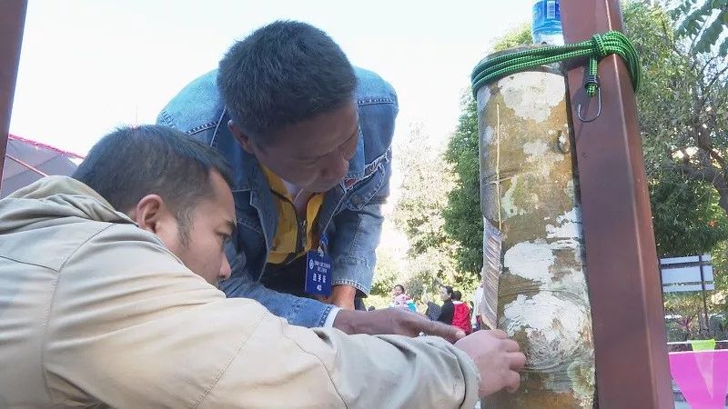 云南省焊接技能大赛,云南省割胶技术培训视频