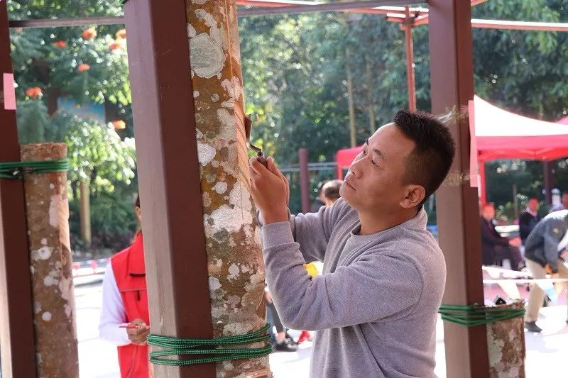 云南省焊接技能大赛,云南省割胶技术培训视频