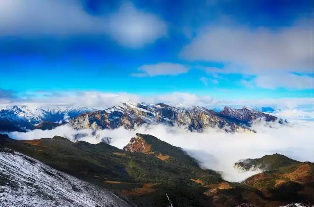 当宫崎骏遇见宗次郎,当宫崎骏遇上上海话