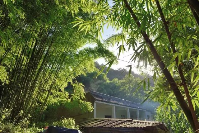 当宫崎骏遇见宗次郎,当宫崎骏遇上上海话