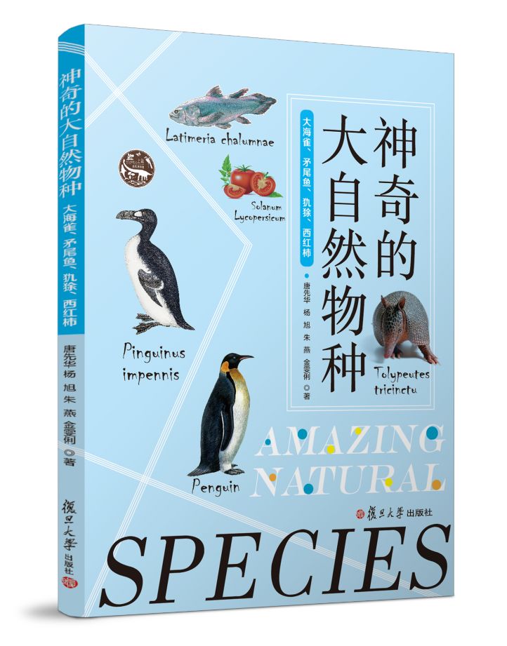 巴西世界杯吉祥物犰狳,巴西吉祥物世界杯