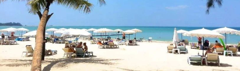 哈尔滨家长关注！半年检出百余“小佝偻”，医生提醒：和它有关