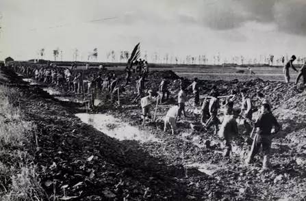 走进安徽大学校园,走进安徽大学