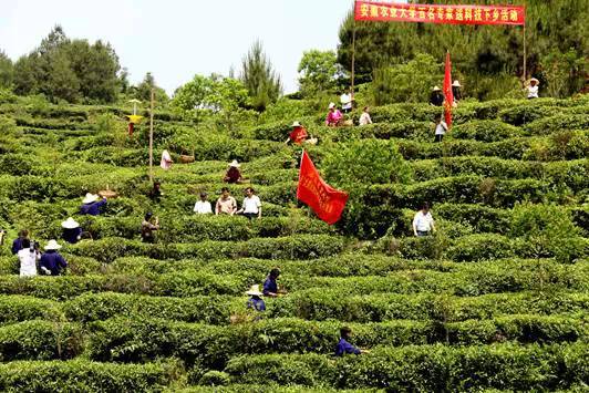 走进安徽大学校园,走进安徽大学